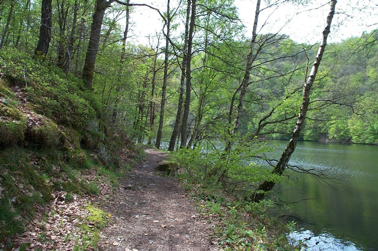 Holiday Home A Pas De Loup La-Roche-en-Ardenne Zewnętrze zdjęcie