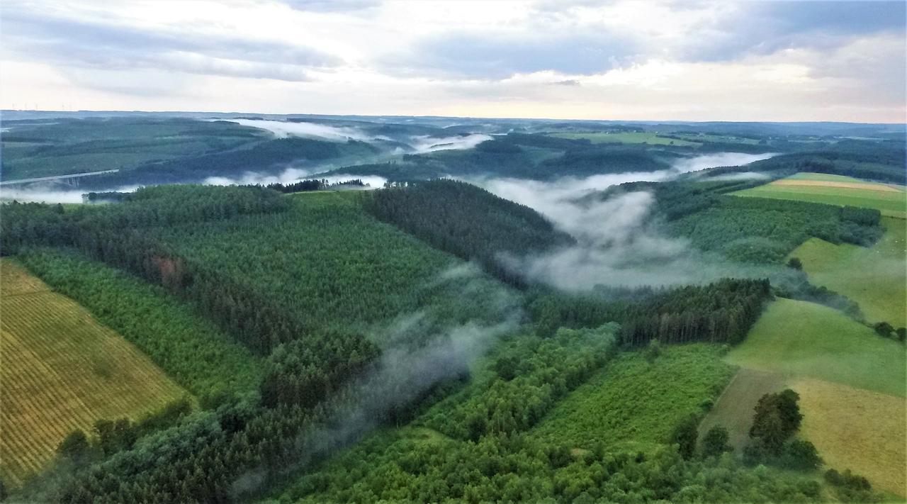 Holiday Home A Pas De Loup La-Roche-en-Ardenne Zewnętrze zdjęcie
